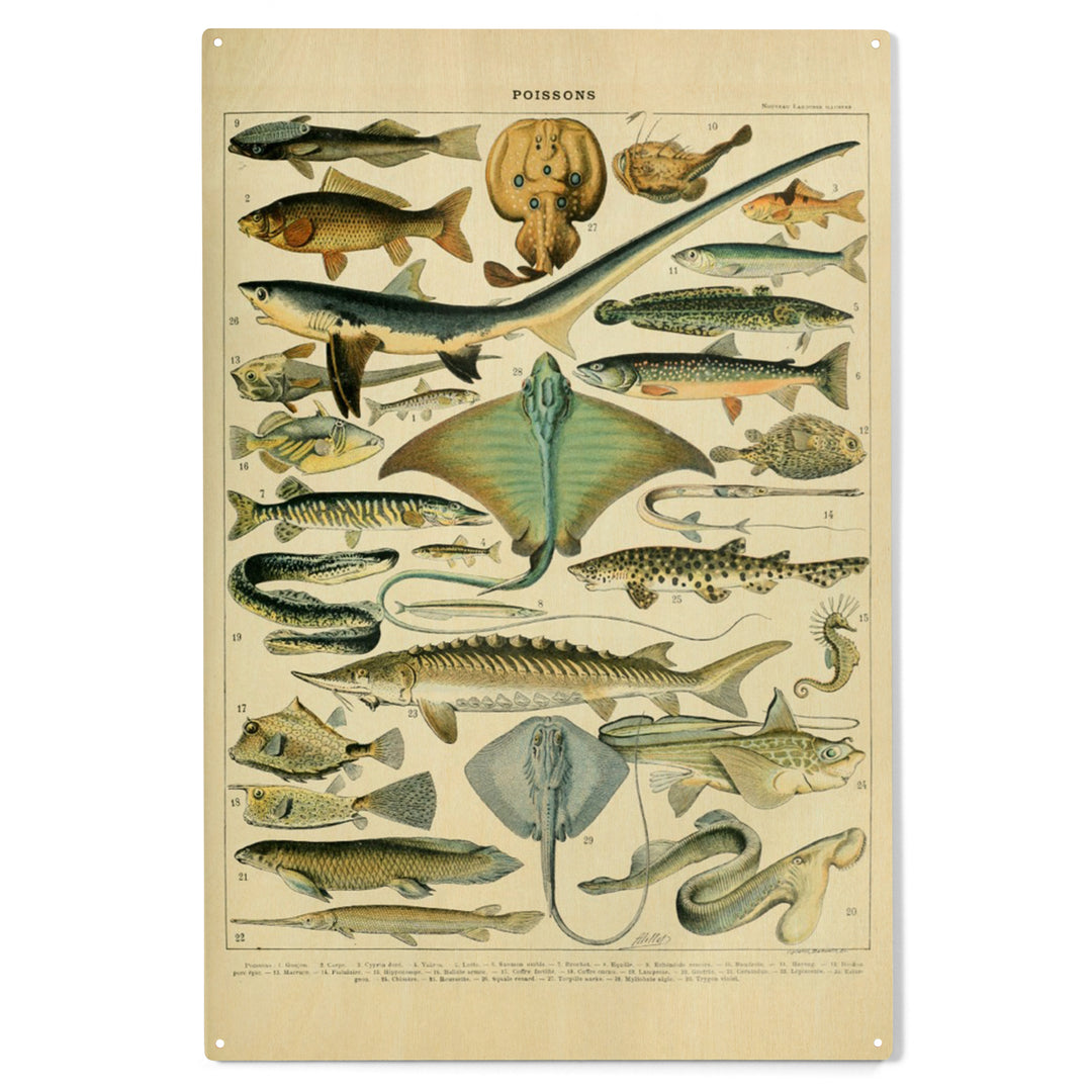 Fish, B, Vintage Bookplate, Adolphe Millot Artwork, Wood Sign and Postcards