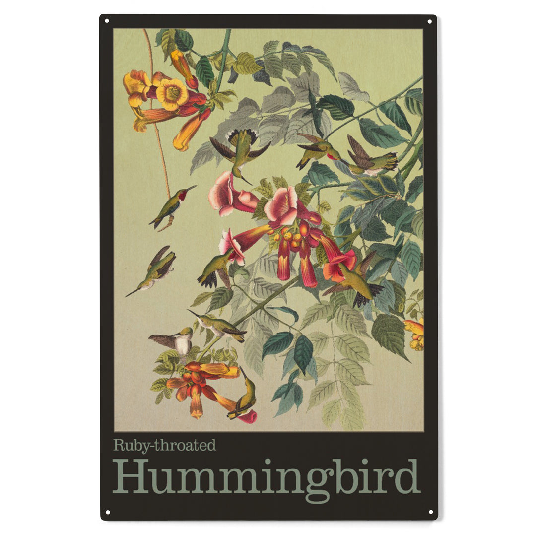 Audubon Birds, North America Hummingbird, Wood Sign and Postcards