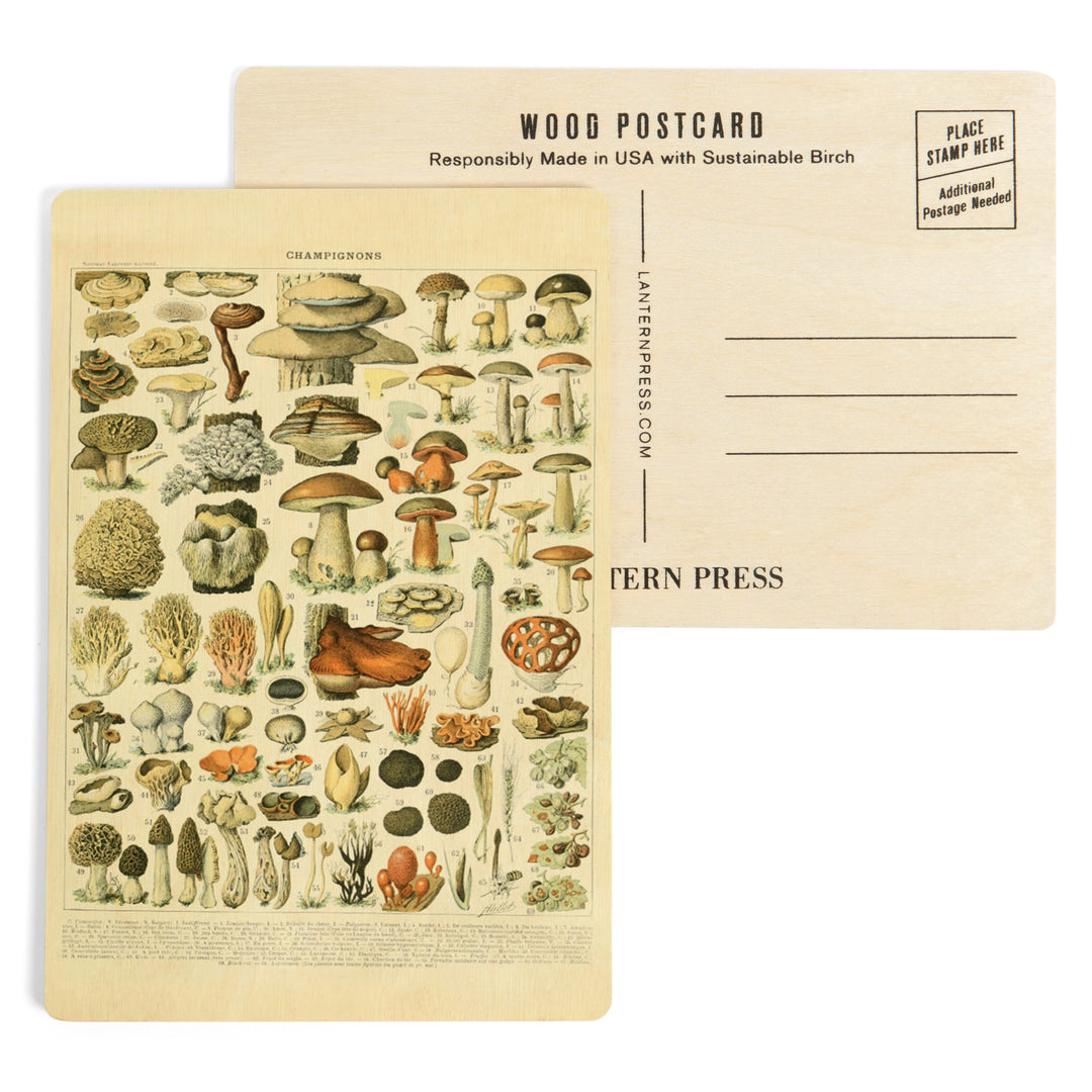 Mushrooms, A, Vintage Bookplate, Adolphe Millot, Wood Sign and Postcards
