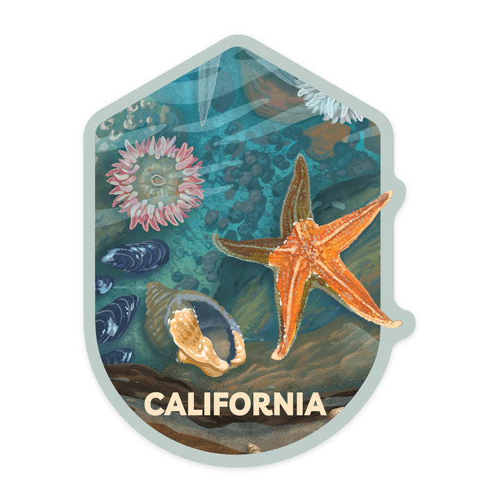 California, Tiny World Huge Wonders, Painterly, Starfish and Shells, Contour, Vinyl Sticker - Lantern Press