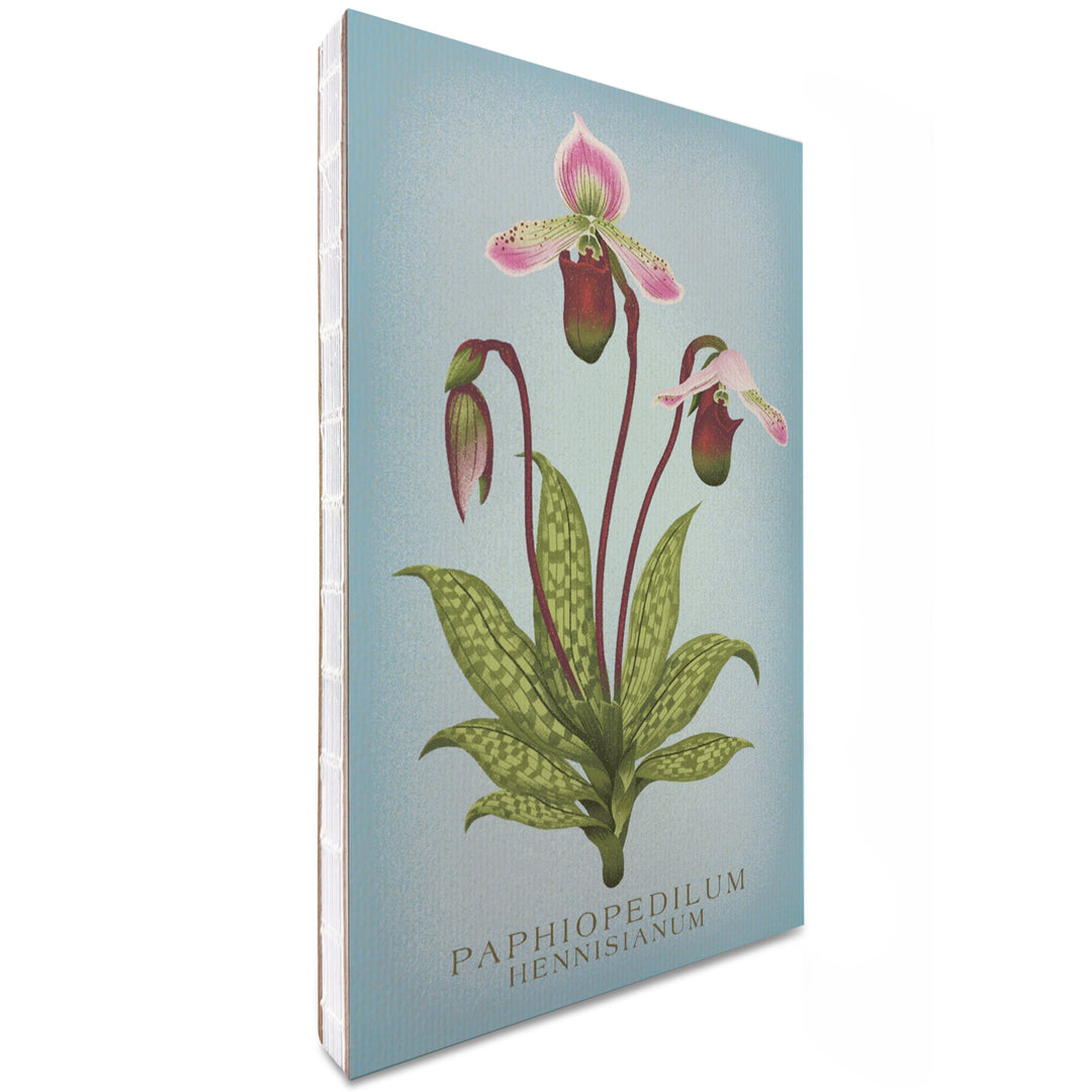 Lined 6x9 Journal, Paphiopedilum, Orchid, Vintage Flora, Lay Flat, 193 Pages, FSC paper