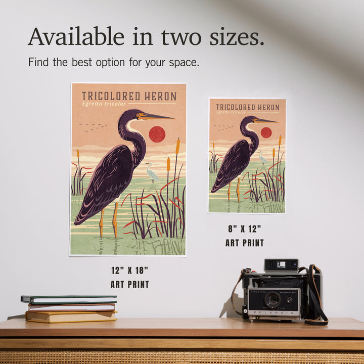 Shorebirds at Sunset Collection, Tricolored Heron, Bird, Art & Giclee Prints