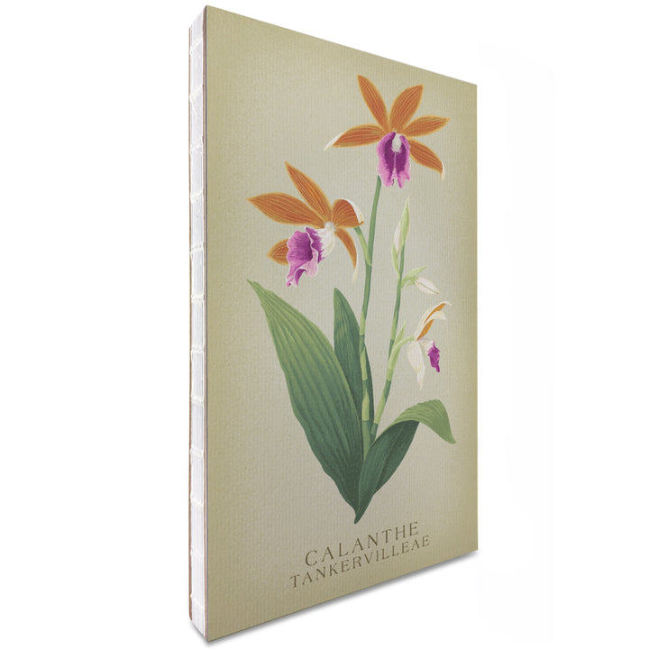 Lined 6x9 Journal, Phaius, Orchid, Vintage Flora, Lay Flat, 193 Pages, FSC paper