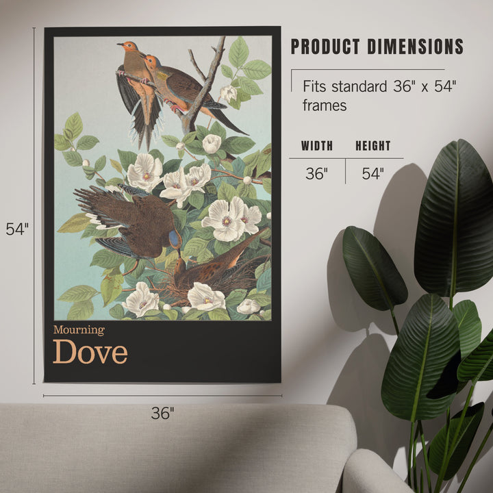 Audubon Birds North America Mourning Dove, Art & Giclee Prints