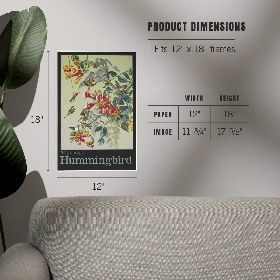 Audubon Birds, North America Hummingbird, Art & Giclee Prints