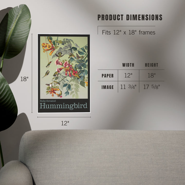 Audubon Birds, North America Hummingbird, Art & Giclee Prints