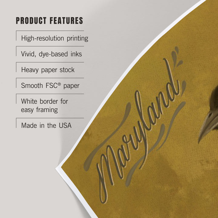 Maryland, Oriole, Oil Painting, Art & Giclee Prints
