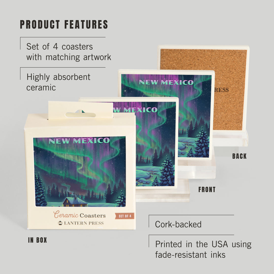 New Mexico, Northern Lights and Cabin, Coasters