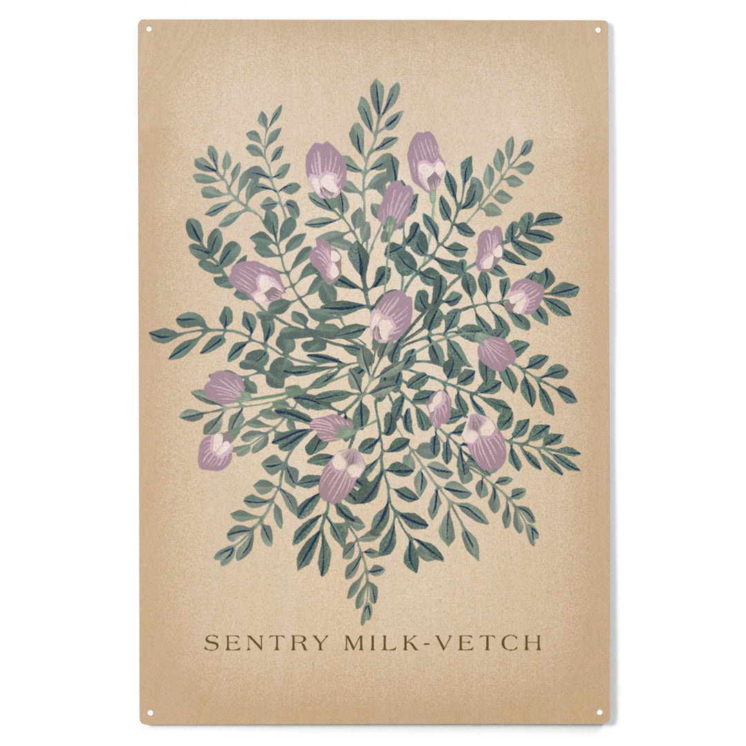 Sentry Milk-Vetch, Vintage Flora, Wood Sign and Postcards