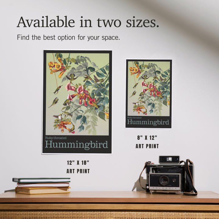 Audubon Birds, North America Hummingbird, Art & Giclee Prints