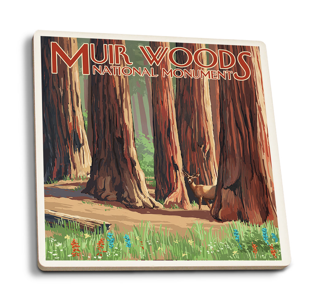 Muir Woods National Monument, California, Deer and Grove, Coaster Set