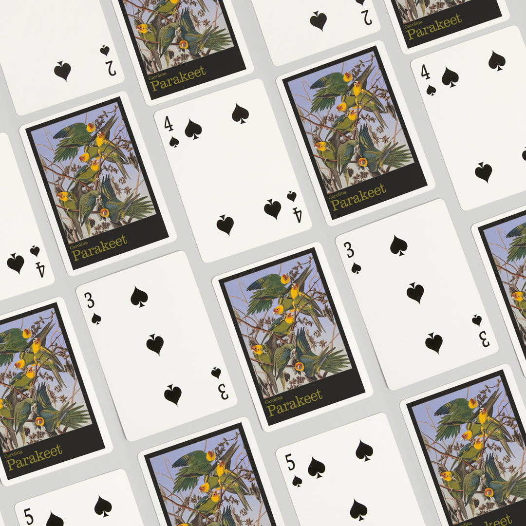 Playing Cards, Audubon Birds of North America, Parakeet, 52 Card Deck with Jokers in Box, Unique Art