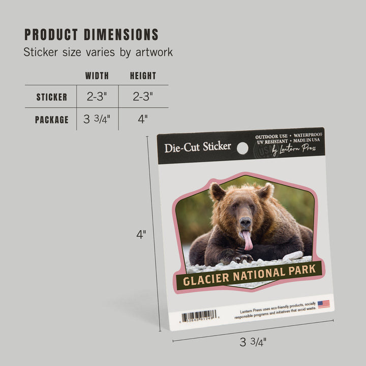 Glacier National Park, Montana, Grizzly Bear with Tongue Out, Contour, Lantern Press Photography, Vinyl Sticker
