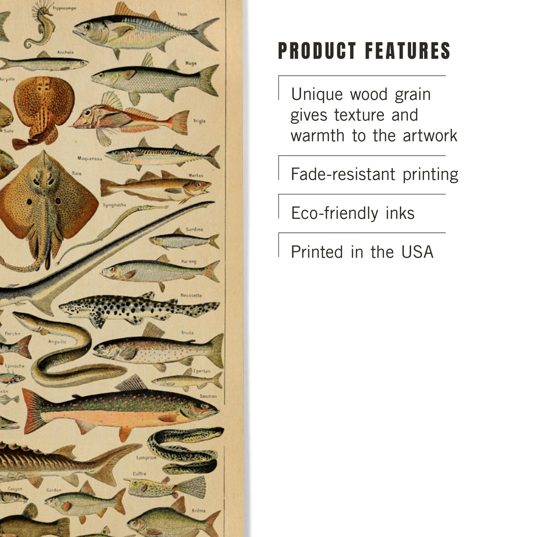 Fish, C, Vintage Bookplate, Adolphe Millot Artwork, Wood Sign and Postcards
