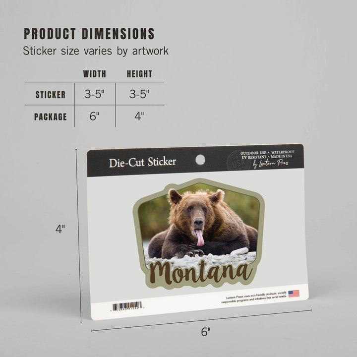 Montana, Grizzly Bear with Tongue Out, Contour, Vinyl Sticker