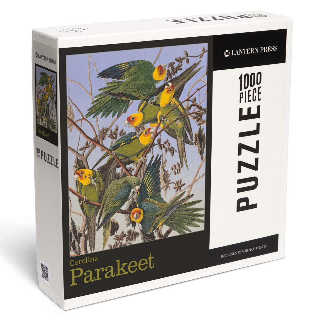 Audubon Birds of North America, Parakeet, 1000 Piece Jigsaw Puzzle