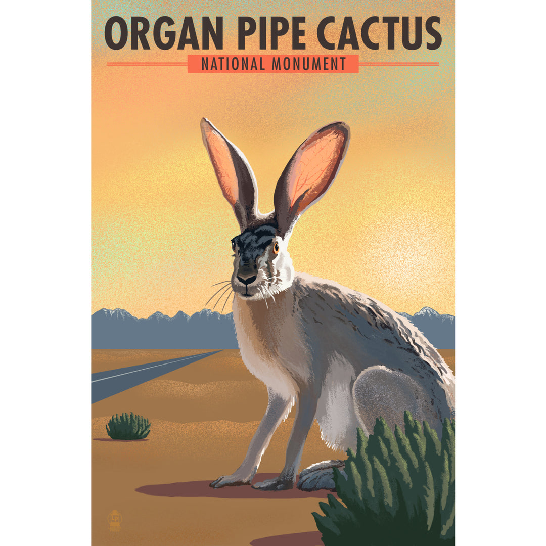 Organ Pipe Cactus National Monument, Arizona, Jackrabbit, Lithograph, Stretched Canvas