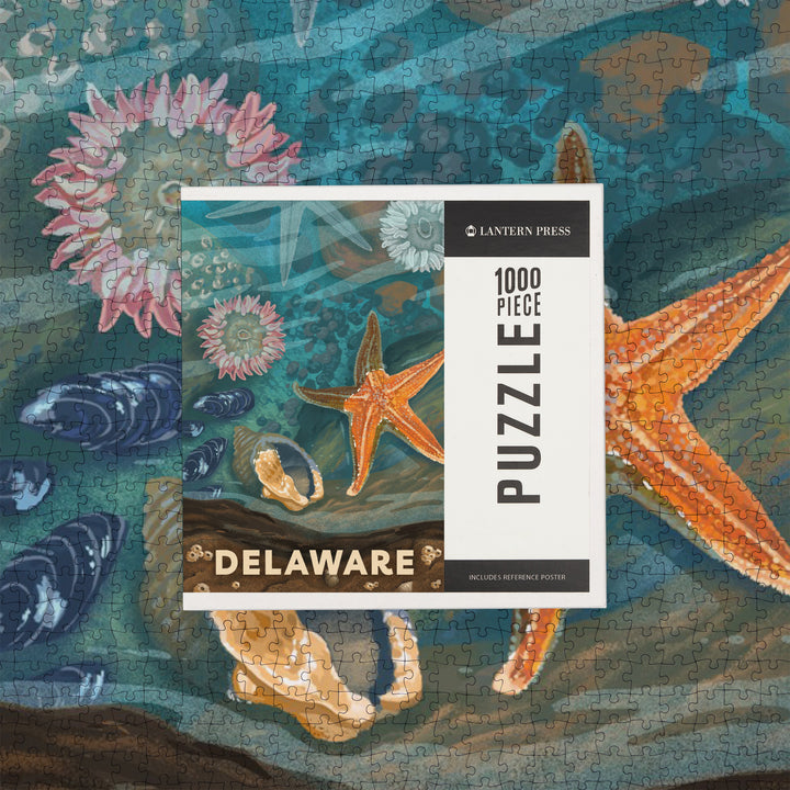 Delaware, Painterly, Tiny World Huge Wonders, Starfish and Shells, Jigsaw Puzzle