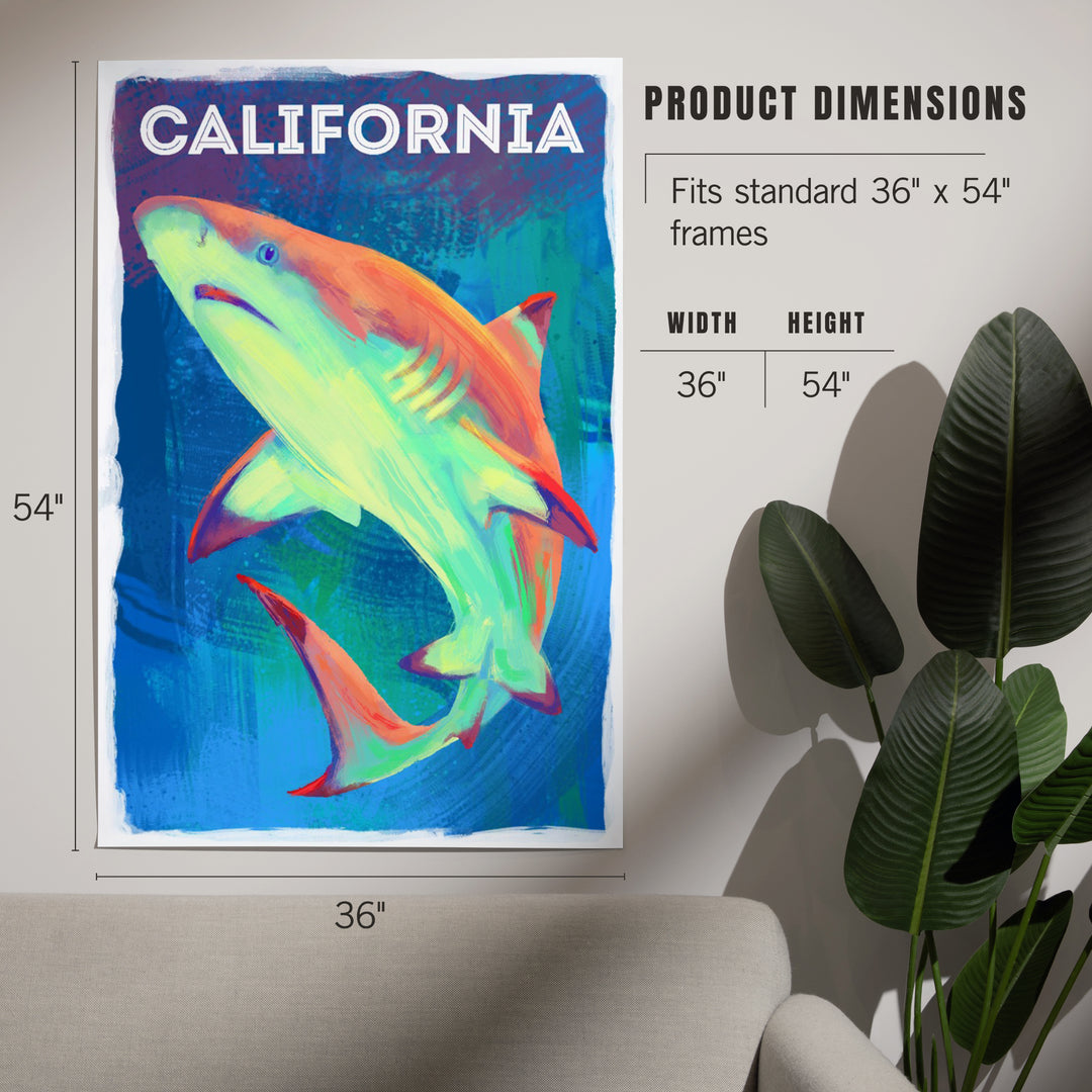 California, Vivid, Blacktip Shark, Art & Giclee Prints