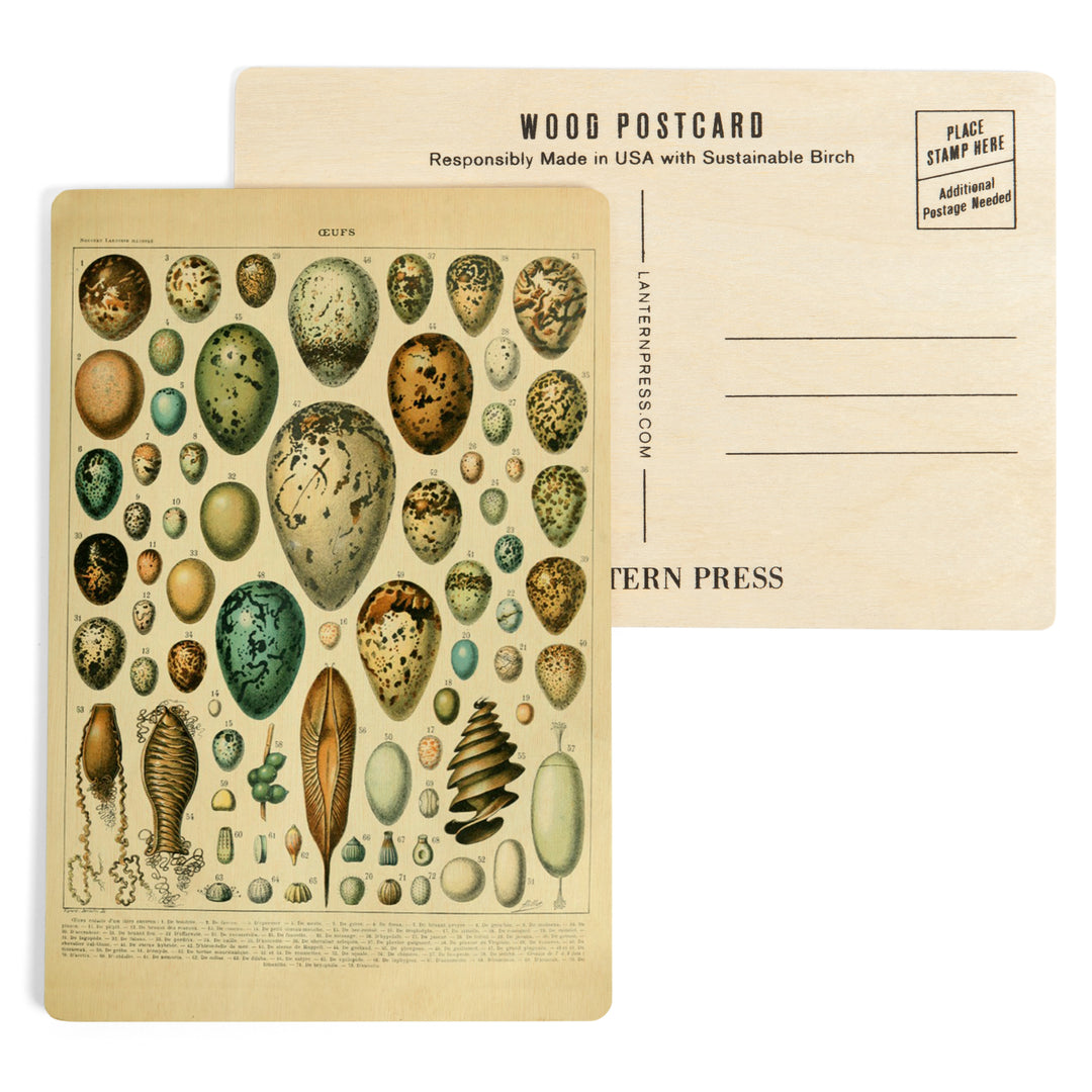 Eggs, Vintage Bookplate, Adolphe Millot Artwork, Wood Sign and Postcards