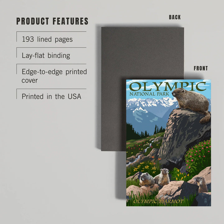 Lined 6x9 Journal, Olympic National Park, Washington, Marmots, Lay Flat, 193 Pages, FSC paper