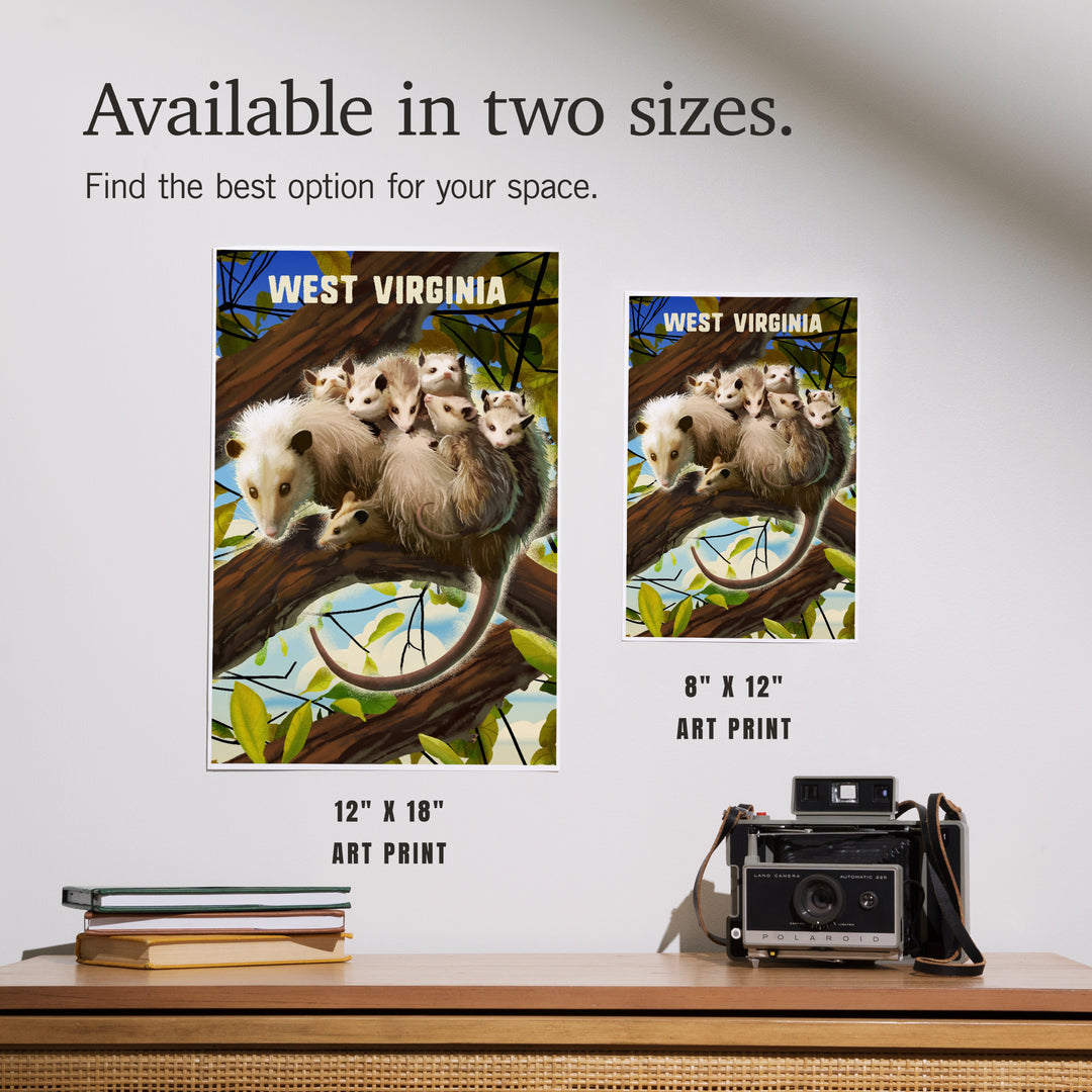 West Virginia, Possum with Babies, Art & Giclee Prints