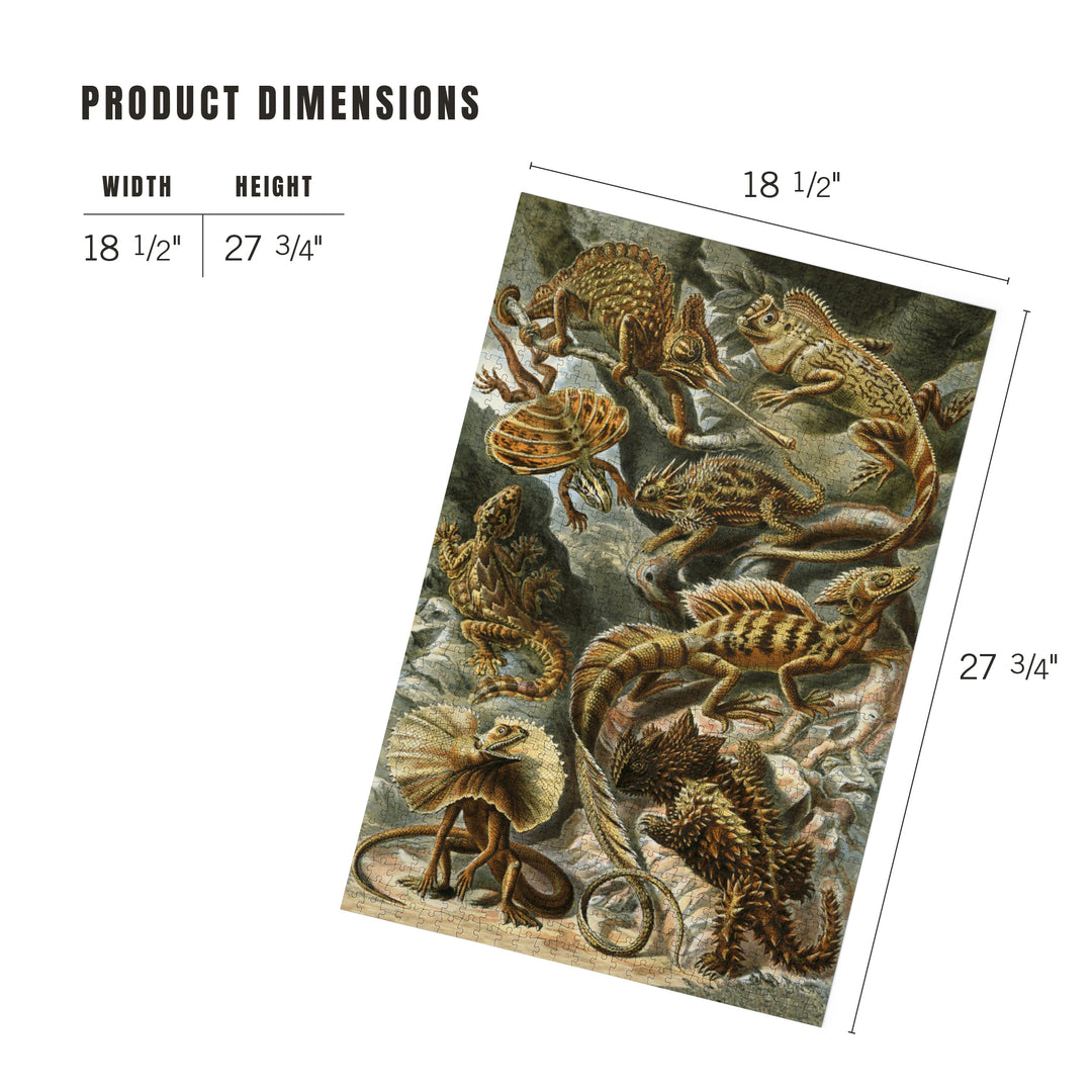 Ernst Haeckel, Lacertilia, 1000 Piece Jigsaw Puzzle