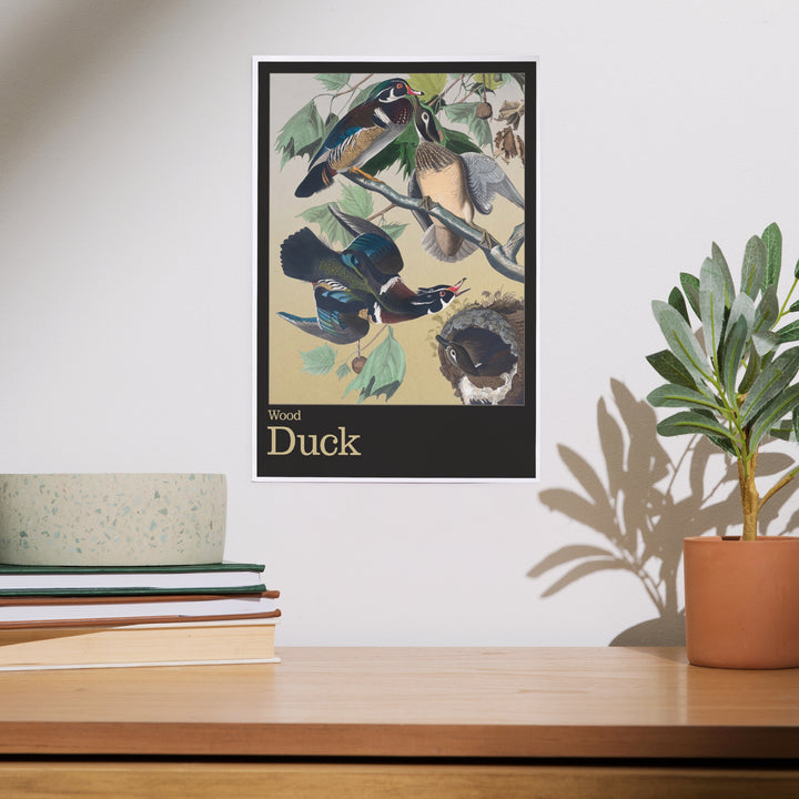 Audubon Birds of North America, Wood Duck, Art & Giclee Prints
