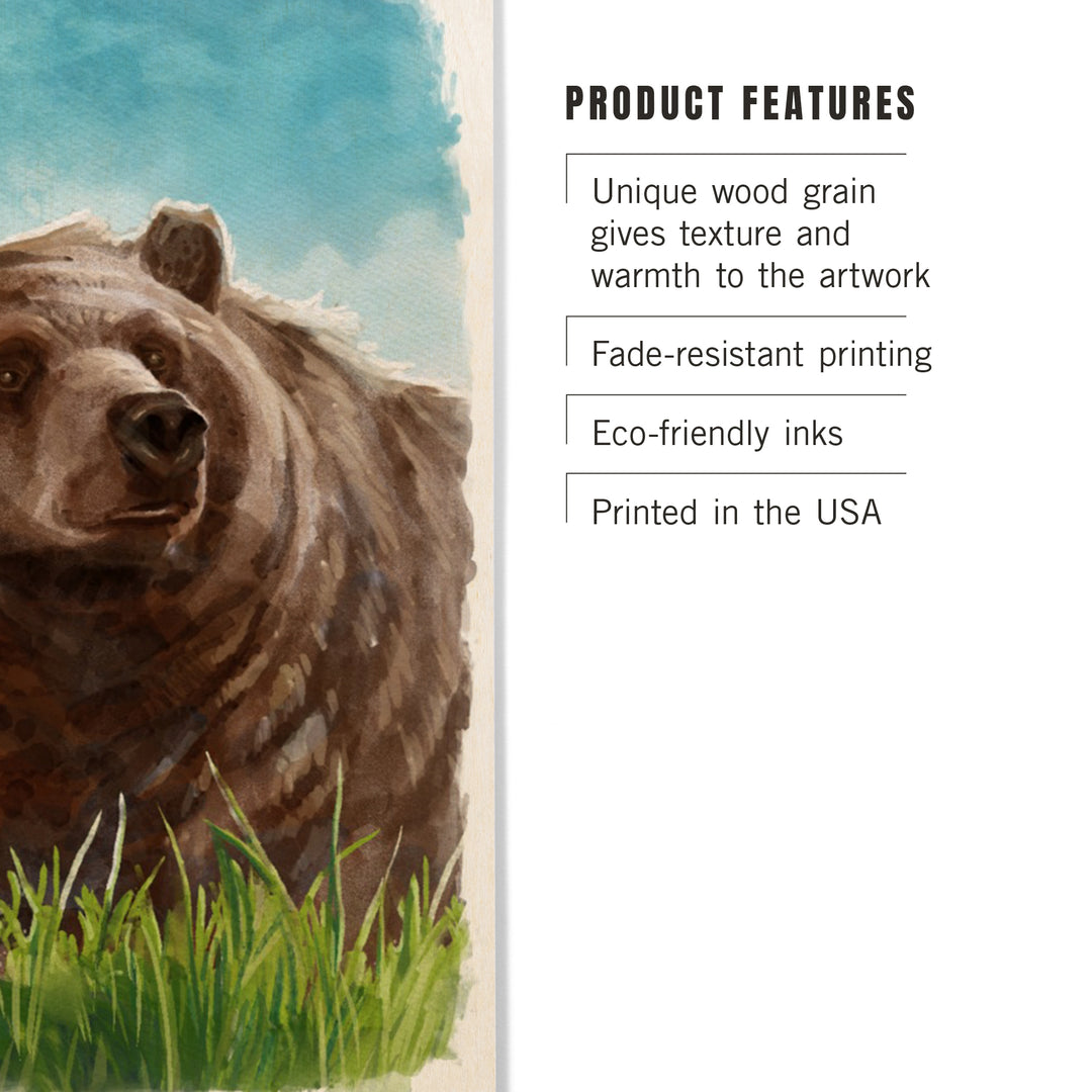 Watercolor Study, Grizzly Bear, Wood Signs and Postcards