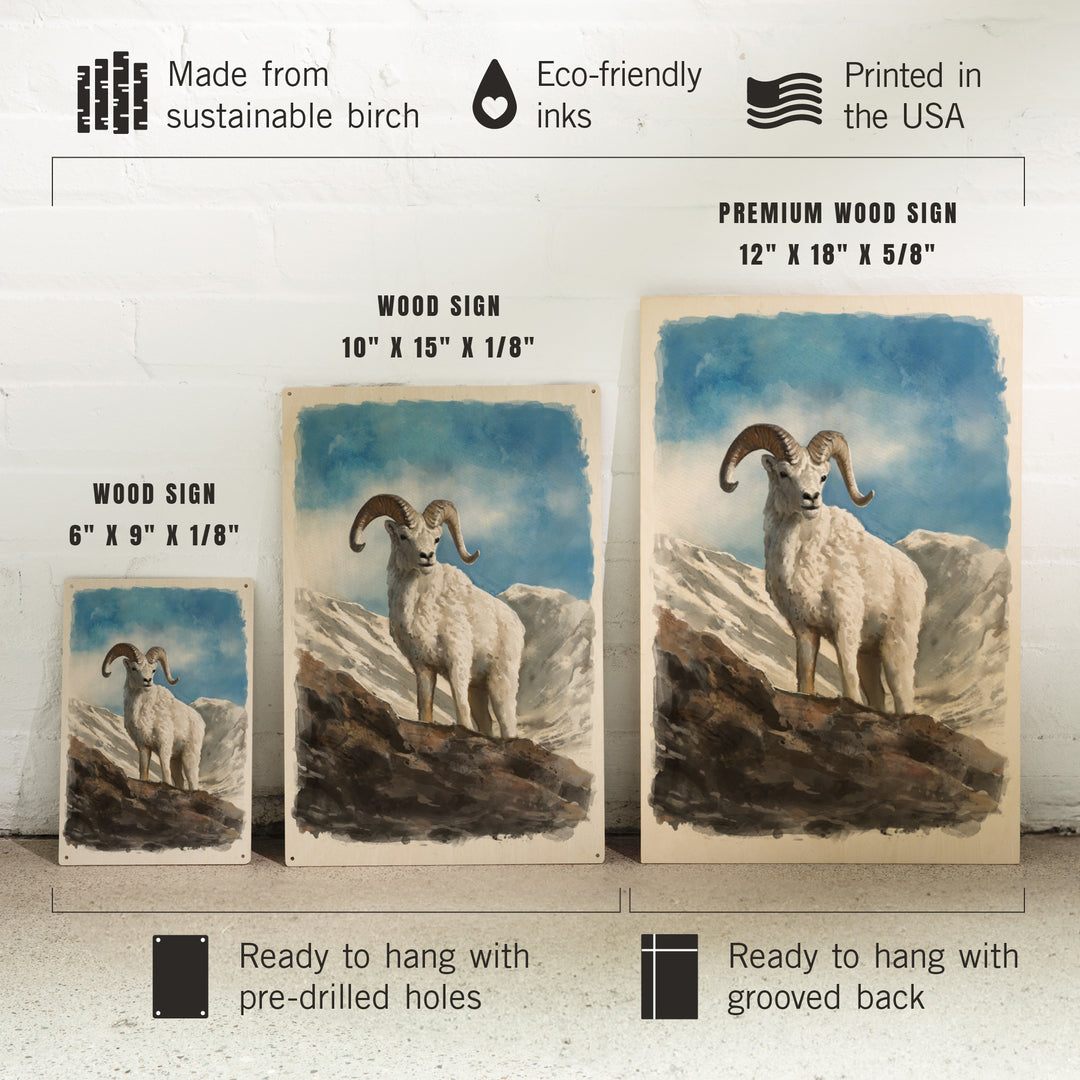 Watercolor Study, Dall Sheep, Wood Signs and Postcards