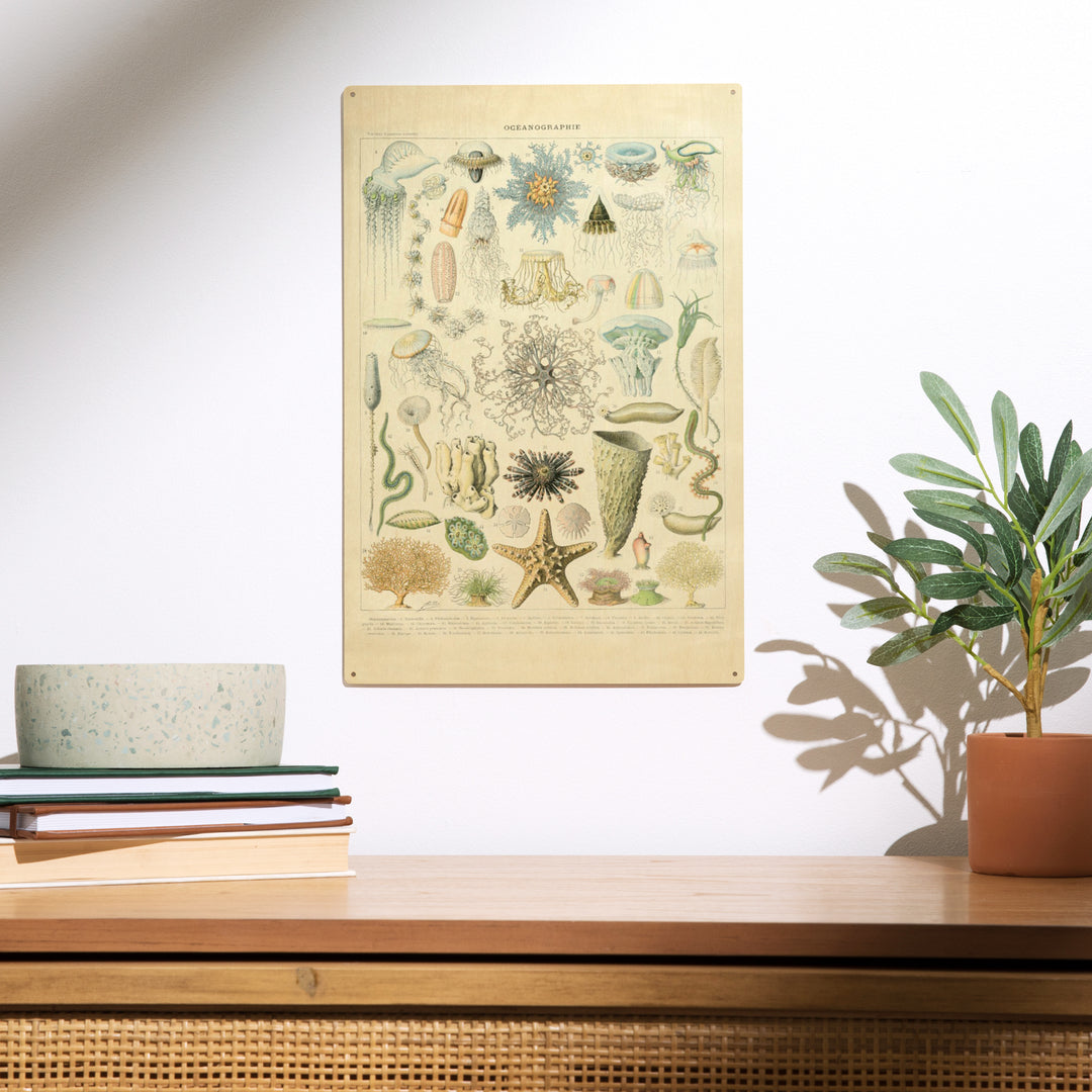 Marine Life, C, Vintage Bookplate, Adolphe Millot, Wood Sign and Postcards
