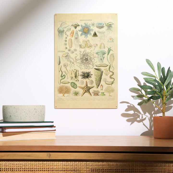 Marine Life, C, Vintage Bookplate, Adolphe Millot, Wood Sign and Postcards