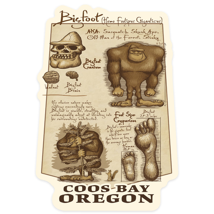 Coos Bay, Oregon, Bigfoot da Vinci, Contour, Vinyl Sticker