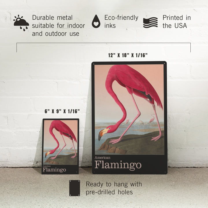 Audubon Birds of North America, Flamingo, 12x18 Metal Sign