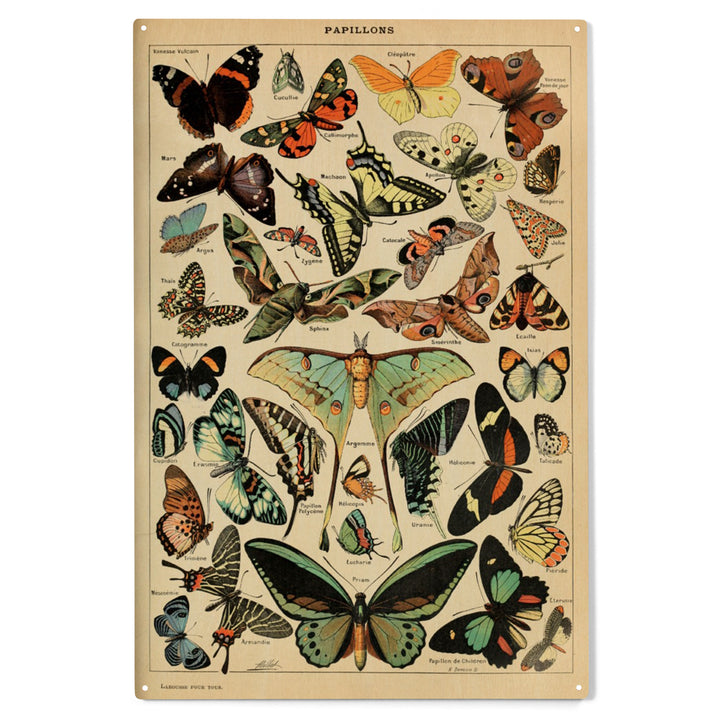 Butterflies, C, Vintage Bookplate, Adolphe Millot, Wood Sign and Postcards