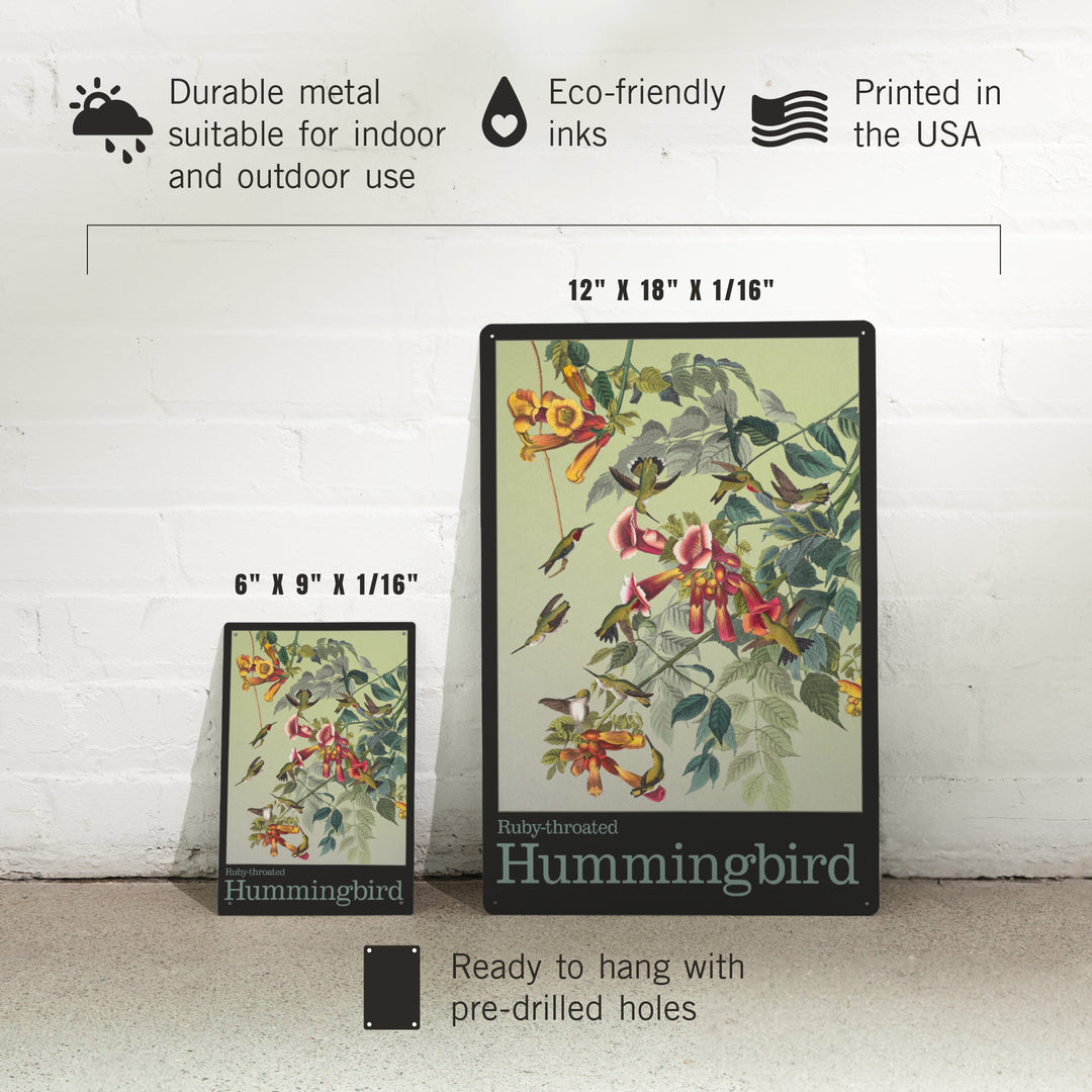Audubon Birds, North America Hummingbird, 12x18 Metal Sign