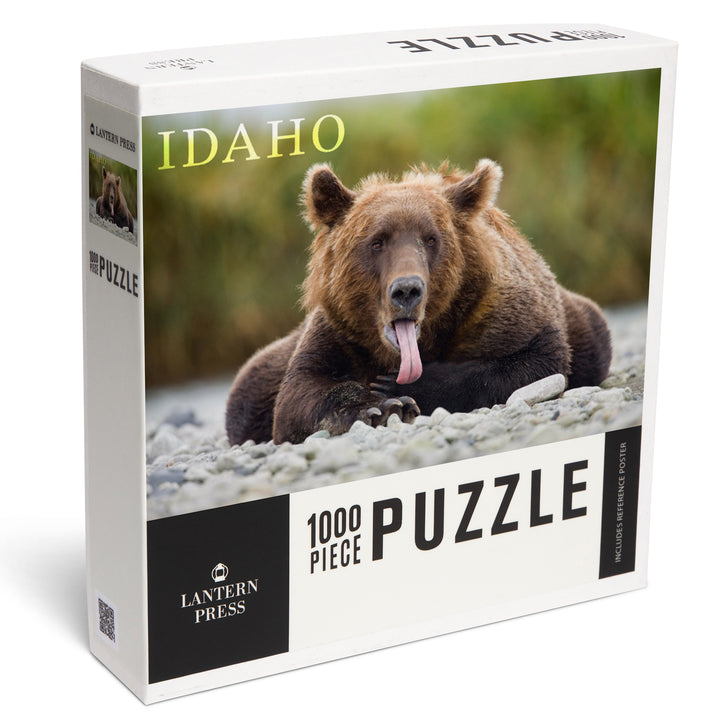 Idaho, Photography, Grizzly Bear with Tongue Out, 1000 Piece Jigsaw Puzzle