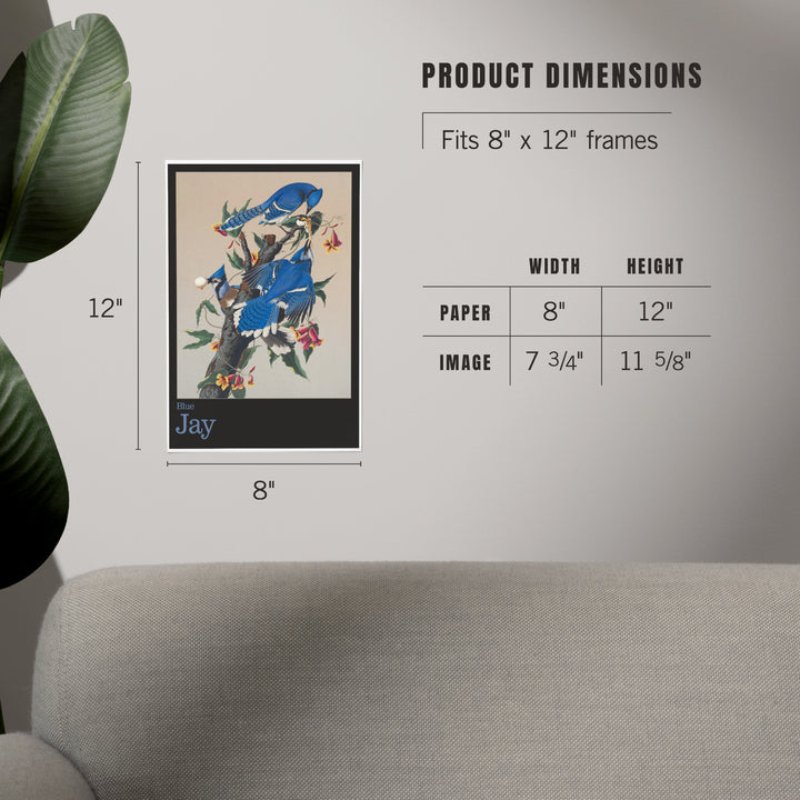 Audubon Birds of North America, Blue Jay, Art & Giclee Prints