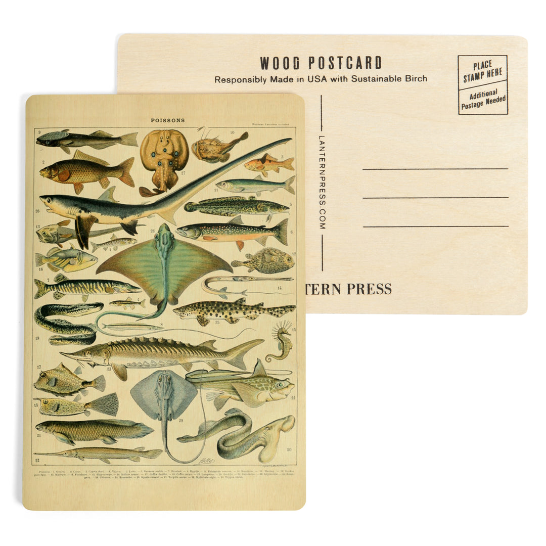 Fish, B, Vintage Bookplate, Adolphe Millot Artwork, Wood Sign and Postcards