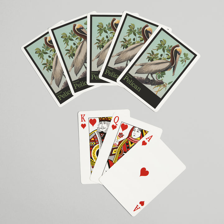 Playing Cards, Audubon Birds, North America Brown Pelican, 52 Card Deck with Jokers in Box, Unique Art