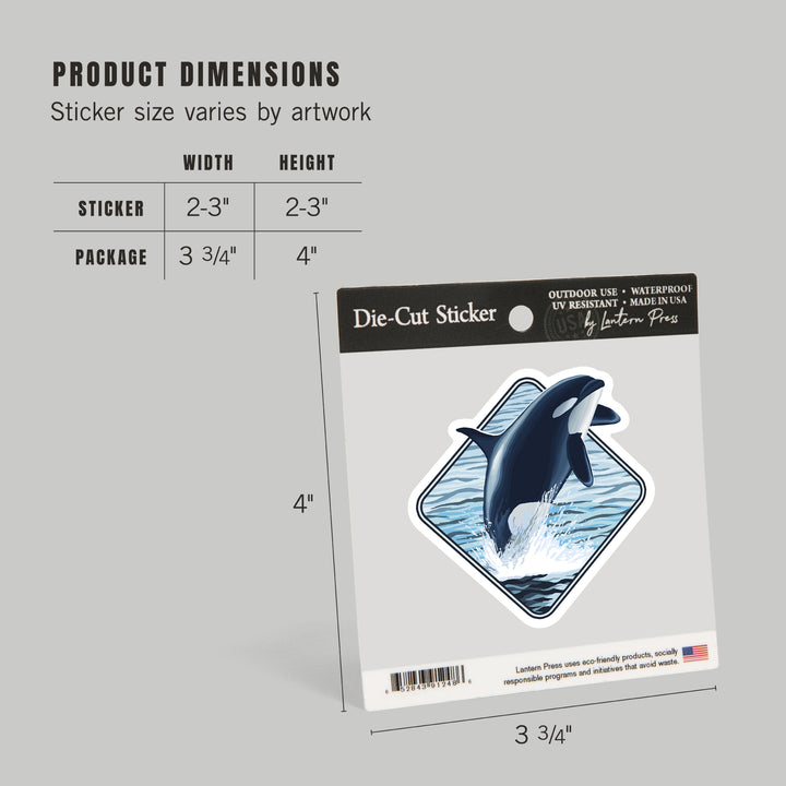 Orca Whale Jumping, Contour, Lantern Press Artwork, Vinyl Sticker