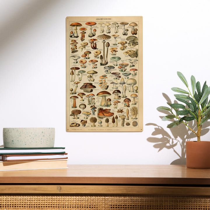 Mushrooms, C, Vintage Bookplate, Adolphe Millot, Wood Sign and Postcards