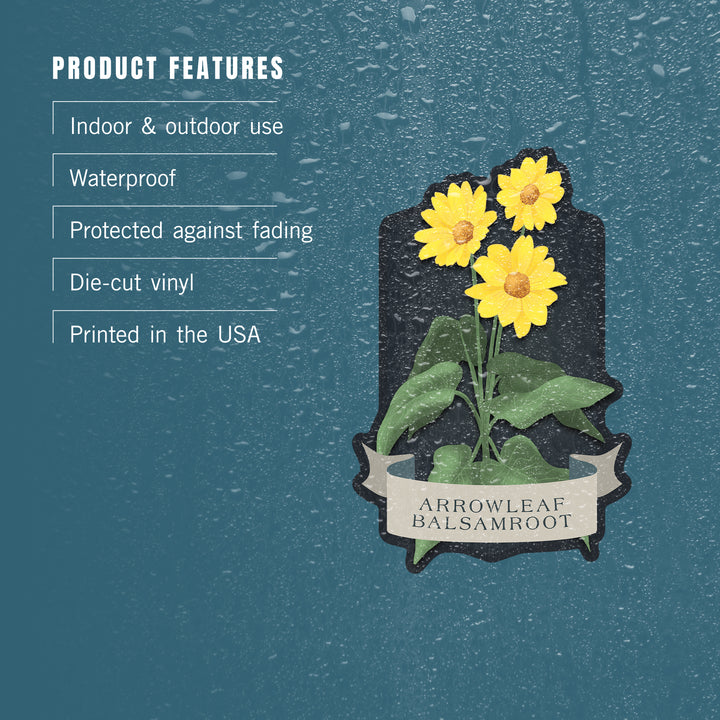 Vintage Flora Noir, Arrowleaf Balsamroot, Vinyl Sticker