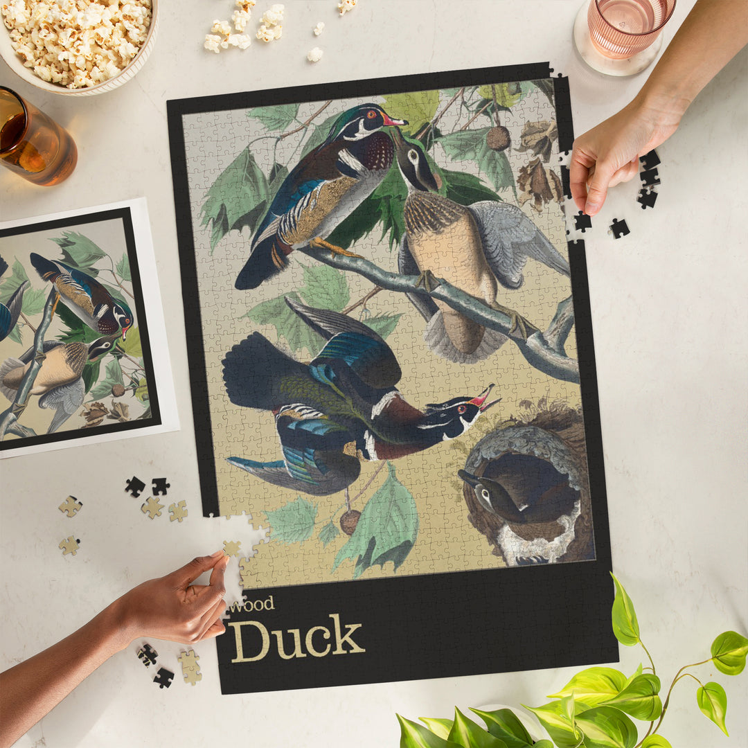 Audubon Birds of North America, Wood Duck, 1000 Piece Jigsaw Puzzle