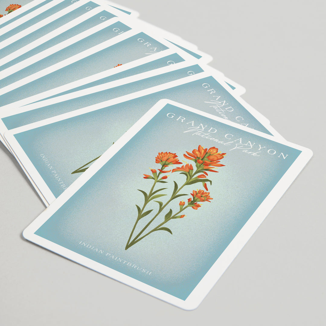 Playing Cards, Grand Canyon National Park, Arizona, Vintage Flora, Indian Paintbrush, 52 Card Deck with Jokers in Box, Unique Art