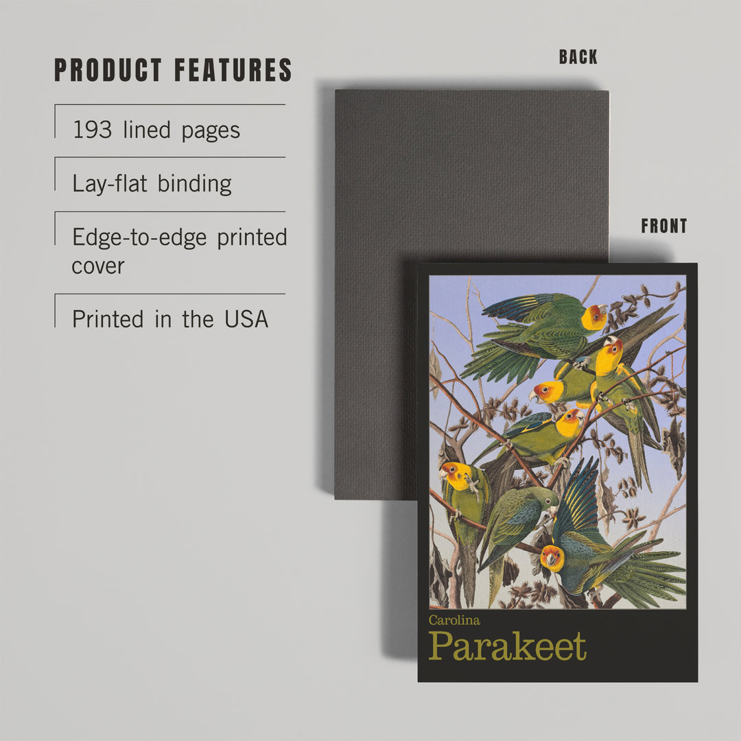 Lined 6x9 Journal, Audubon Birds of North America, Parakeet, Lay Flat, 193 Pages, FSC paper