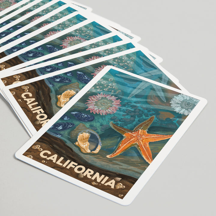 Playing Cards, California, Tiny World Huge Wonders, Coastal Series, Starfish and Shells, 52 Card Deck with Jokers in Box, Unique Art