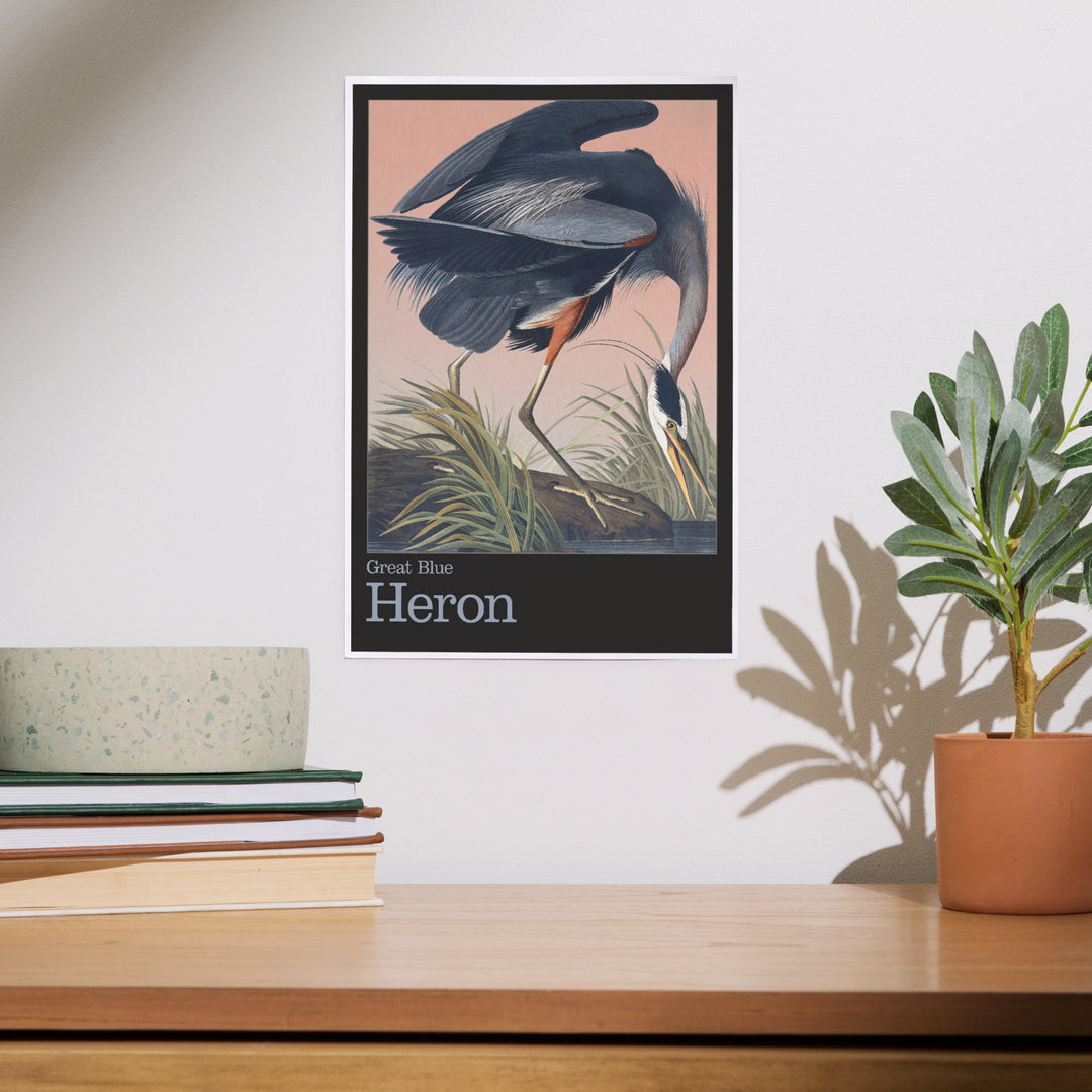 Audubon Birds of North America, Blue Heron, Art & Giclee Prints