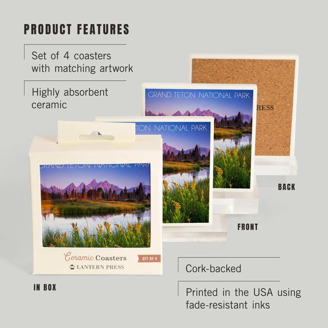 Grand Teton National Park, Wyoming, Flower Foreground, Coasters