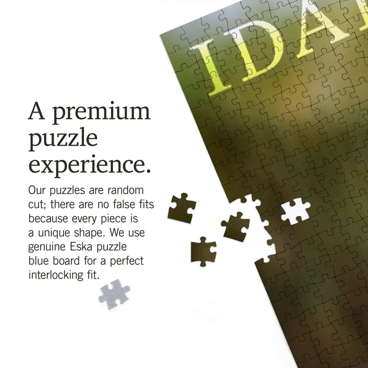 Idaho, Photography, Grizzly Bear with Tongue Out, 1000 Piece Jigsaw Puzzle